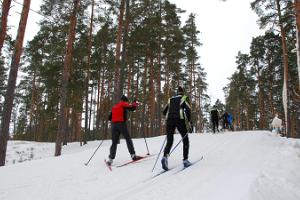 Skidspår och skiduthyrning i Jõulumäes Hälsosportcentrum