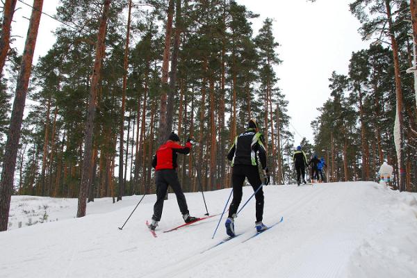 Veselības sporta centra "Jõulumäe" slēpošanas trases un slēpju noma