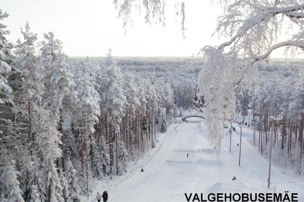 Snowtubing in Valgehobusemäe