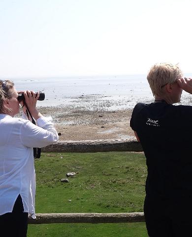 &quot;Seikle Vabaks&quot; Vogelbeobachtung an der Nordküste der Pärnuer Bucht