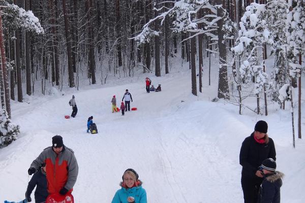 Sled hill at Jõulumäe