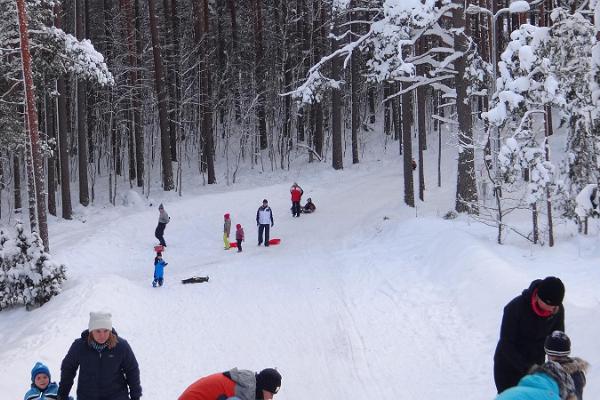 Sled hill at Jõulumäe