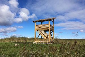 Башня для наблюдения за птицами в Вихасоо