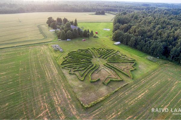 Toretalu Farm Corn Labyrinth