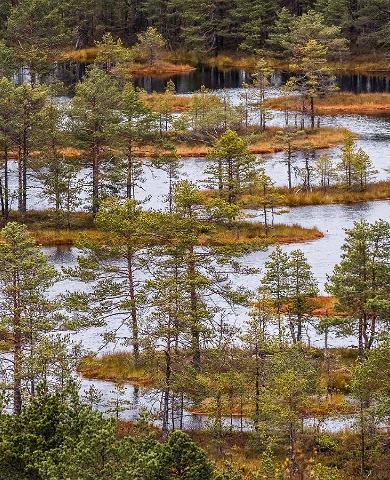Päiväretki Pohjois-Viron luontoon