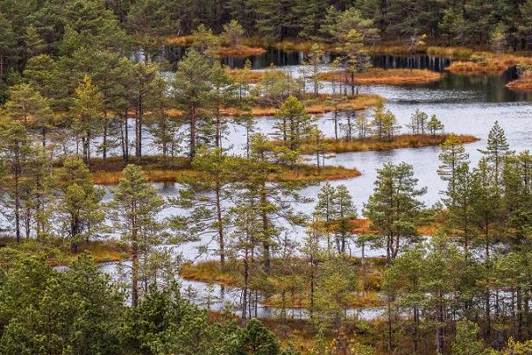 Dagsutflykt till Norra Estlands natur