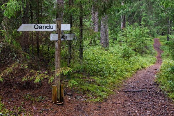 Naturwaldwanderweg Oandu