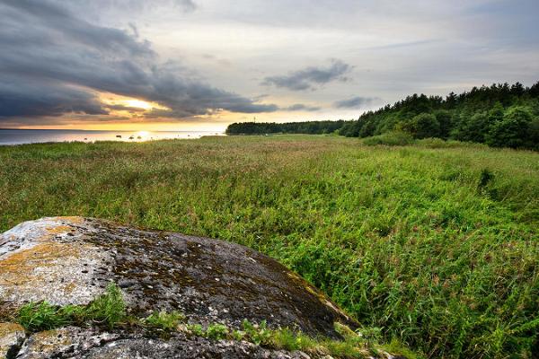 Findlinge Suurkivi und Ehalkivi in Tagaküla