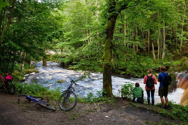 Võsu-Nõmmeveski hiking trail