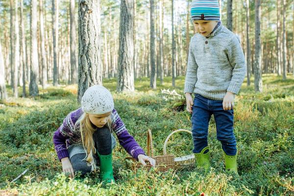 Käsmun matka- ja polkupyörärata