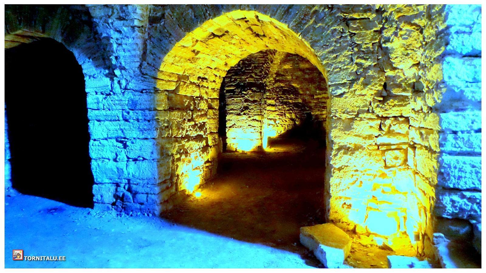 Ruins of Maasi fort-castle