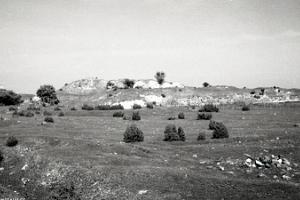 Развалины орденского городища Мааси