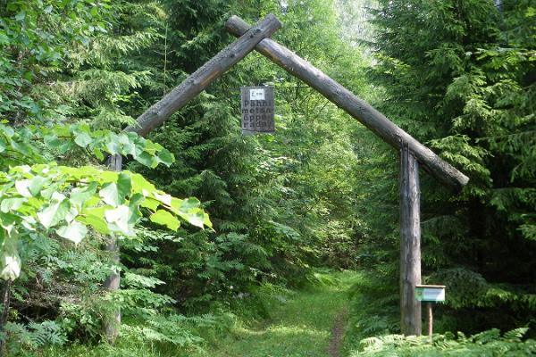 RMK Pähni studieled i skogen