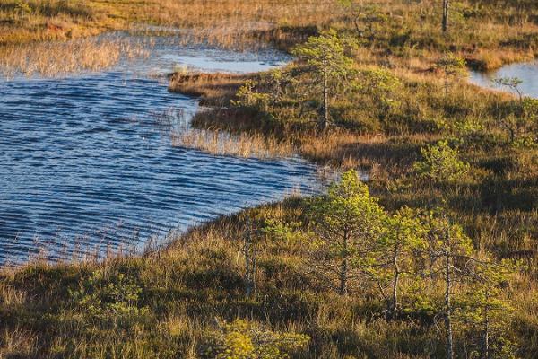 Endla Naturskyddsområde och Tooma centrum