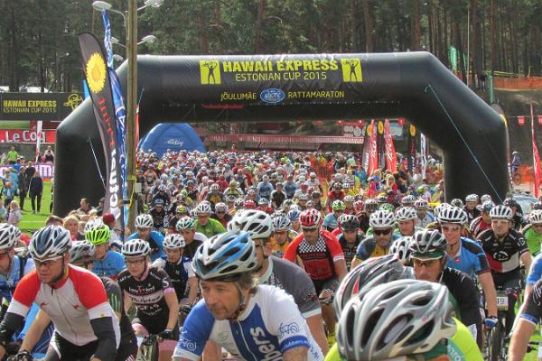 Fahrradwege im Kiefernwald am Gesundheitssportzentrum Jõulumäe