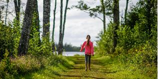 Hiking on nature trails in Estonia 