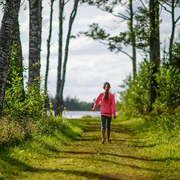 Hiking on nature trails in Estonia 
