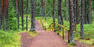 estonia-hiking-trails-oandu-nature