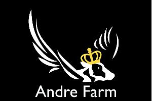 Сырная ферма Andre