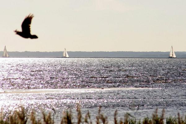 Segeln mit der Gesellschaft in der Bucht von Pärnu