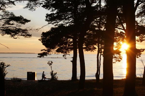 Der Strand von Pirita