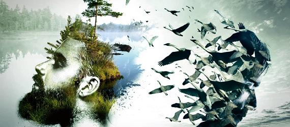Ways-to-reconnect-with-the-nature