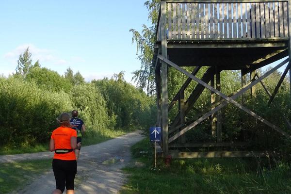 Birdwatching towers in Paljassaare Special Conservation Area
