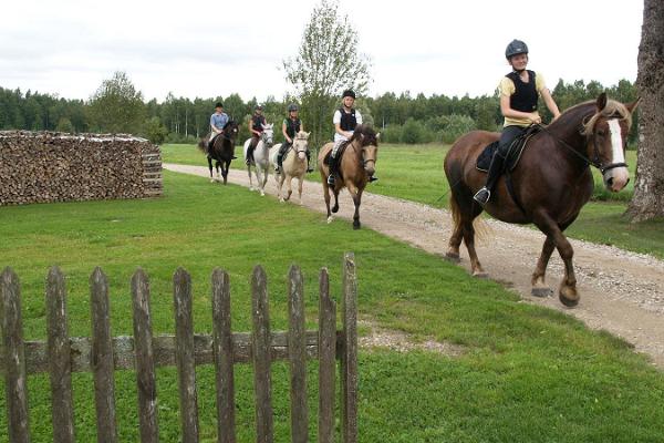 Saimniecības "Maria" jāšanas sporta centrs - izjādē ar zirgiem pa "Maria" saimniecības takām