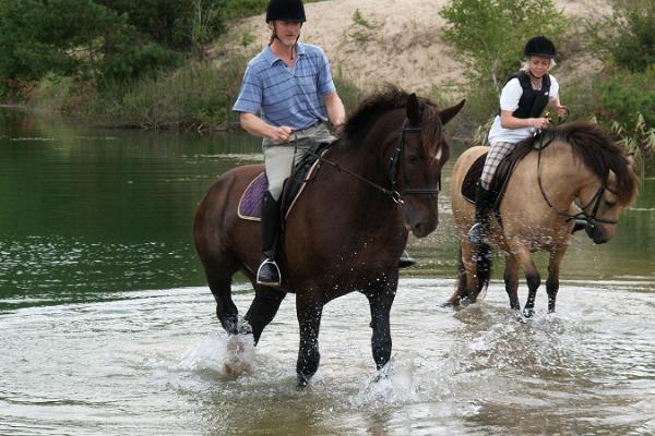 Marian ratsastuskeskus - hevosilla Marian tilan poluilla