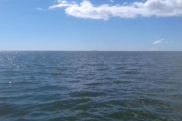 Kalastajan kanssa merelle! Meriretket Pärnun lahdella!