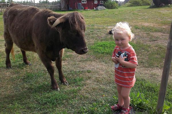 Riida turistgård