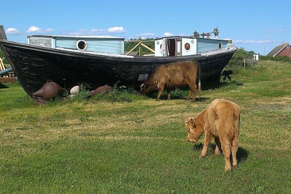 Riida Tourist Farm