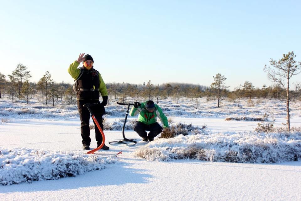 Kicksledge hike on the bog ponds and bog lake of Rubina swamp - pilt