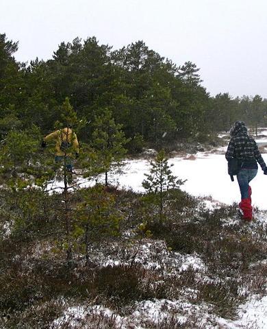 Räätsamatkad Koitjärve rabas