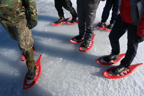 Seikle Vabaks räätsamatk Soomaa Rahvuspargis asuvasse Toonoja rabasaarele