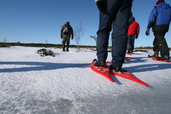 "Seikle Vabaks" pārgājiens ar sniega kurpēm Lindi purvā