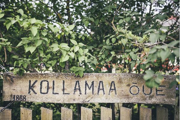 Kollamaa Holiday Home