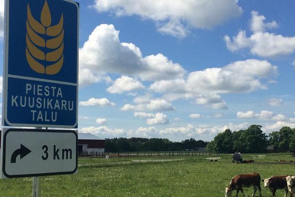 Besuch des Bauernhofs für Apfelerzeugnisse Piesta Kuusikaru