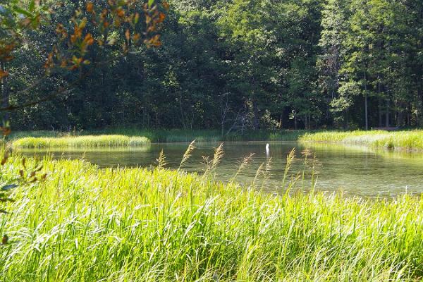 Die Quellen und der Quellensee von Prandi