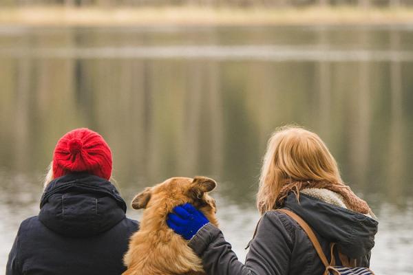 Saare järve õpperada