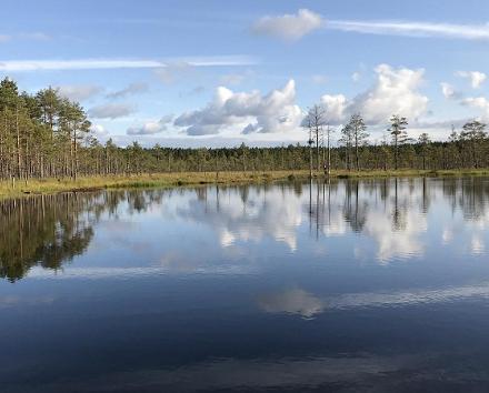 En dag i Södra Estland: trakten Mulgimaa och Viljandi