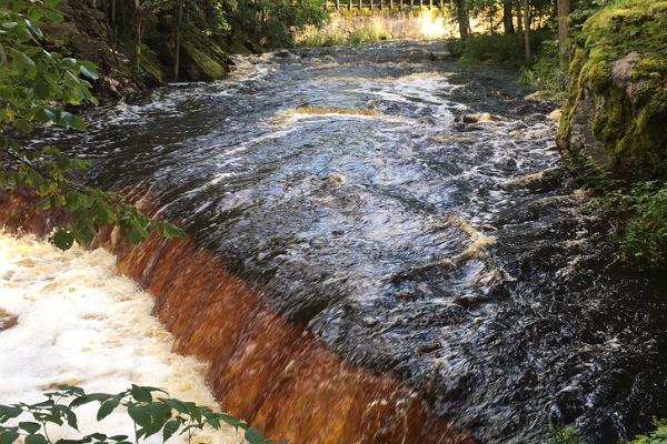 Päevane giidiga loodustuur Lahemaa rahvuspargis