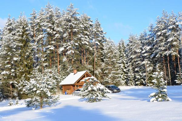 Tõrvaaugu metsamajad