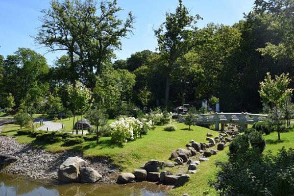 Japanese garden in Kadriorg Park