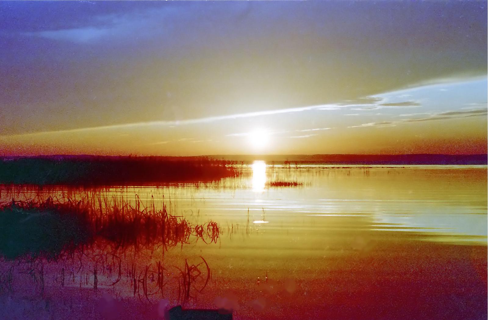 Spesies Unik Dan Endemik Di Danau Vortsjarv