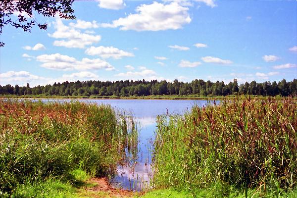 Võrtsjärve cykelled