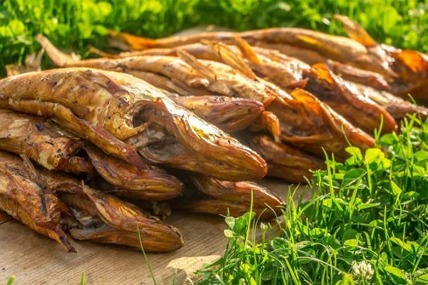 Мастер-класс по рыбным блюдам на Чудском озере