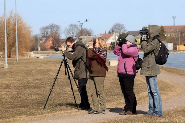Eintägiger Ausflug zur Vogelbeobachtung mit Führer in Läänemaa