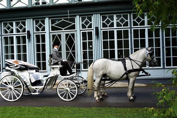Voore Stables: a ride in a carriage with a picnic