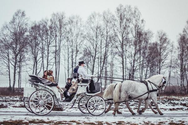 Voore Stables: a ride in a carriage with a picnic